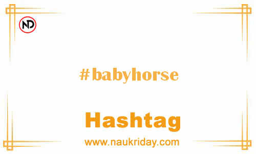 BABYHORSE Hashtag for Facebook