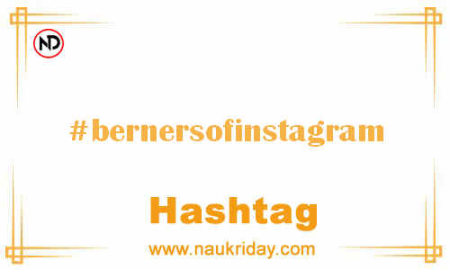 BERNERSOFINSTAGRAM Hashtag for Facebook