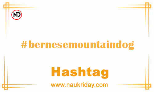 BERNESEMOUNTAINDOG Hashtag for Facebook