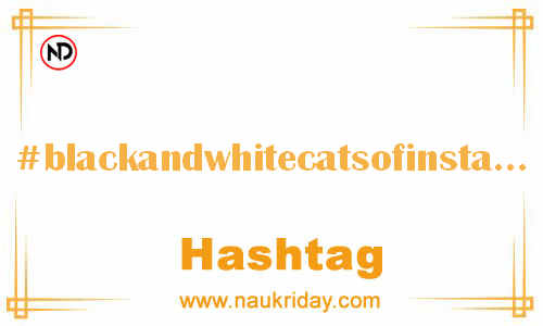 BLACKANDWHITECATSOFINSTAGRAM Hashtag for Facebook