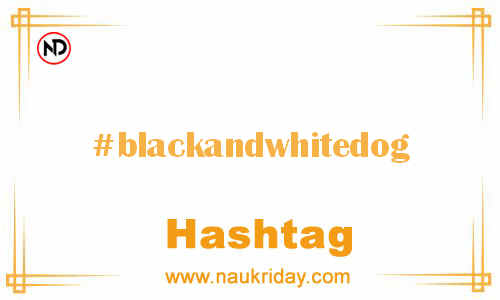 BLACKANDWHITEDOG Hashtag for Facebook