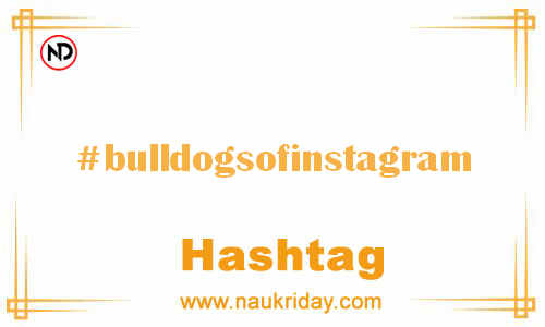 BULLDOGSOFINSTAGRAM Hashtag for Facebook