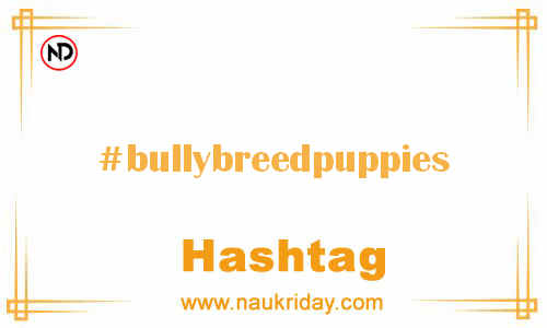 BULLYBREEDPUPPIES Hashtag for Facebook