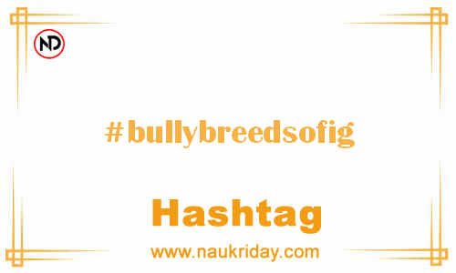 BULLYBREEDSOFIG Hashtag for Facebook