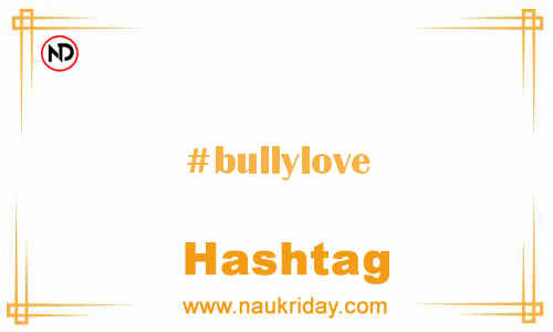 BULLYLOVE Hashtag for Facebook