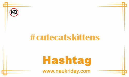 CUTECATSKITTENS Hashtag for Facebook