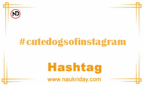 CUTEDOGSOFINSTAGRAM Hashtag for Facebook