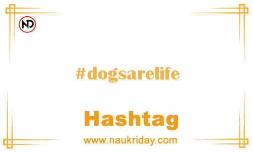 DOGSARELIFE Hashtag for Facebook