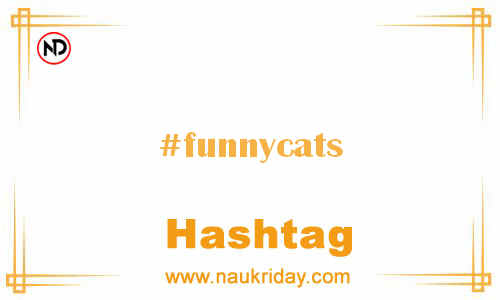 FUNNYCATS Hashtag for Facebook