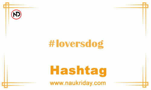 LOVERSDOG Hashtag for Facebook