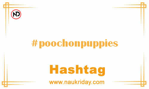 POOCHONPUPPIES Hashtag for Facebook