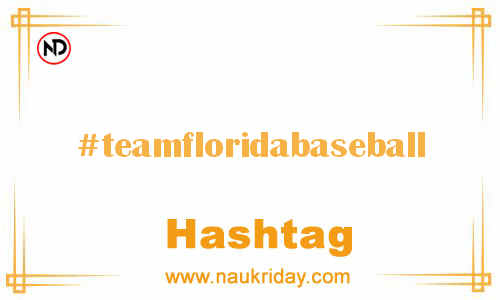 TEAMFLORIDABASEBALL Hashtag for Facebook