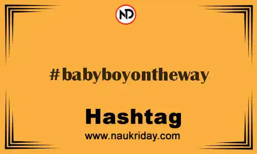 BABYBOYONTHEWAY Hashtag for Twitter