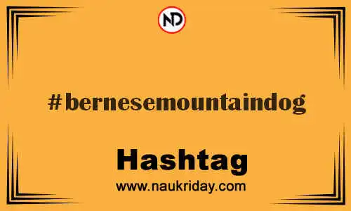 BERNESEMOUNTAINDOG Hashtag for Twitter