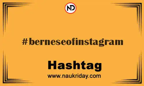 BERNESEOFINSTAGRAM Hashtag for Twitter