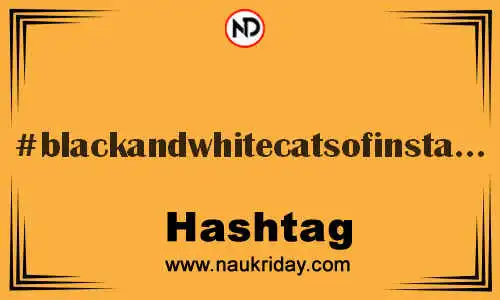 BLACKANDWHITECATSOFINSTAGRAM Hashtag for Twitter