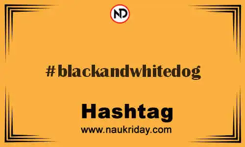 BLACKANDWHITEDOG Hashtag for Twitter