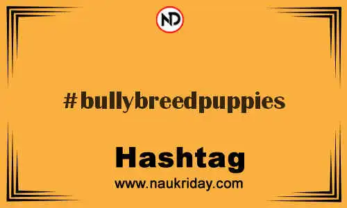 BULLYBREEDPUPPIES Hashtag for Twitter