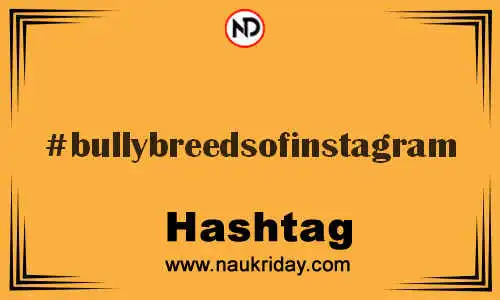 BULLYBREEDSOFINSTAGRAM Hashtag for Twitter