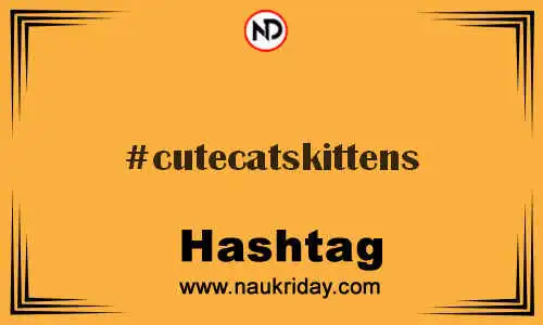 CUTECATSKITTENS Hashtag for Twitter