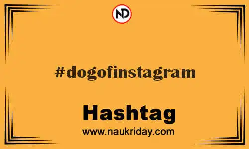 DOGOFINSTAGRAM Hashtag for Twitter