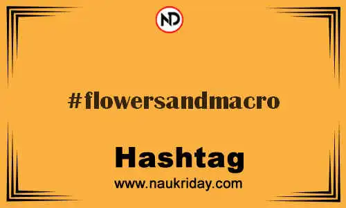 FLOWERSANDMACRO Hashtag for Twitter