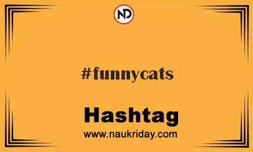 FUNNYCATS Hashtag for Twitter