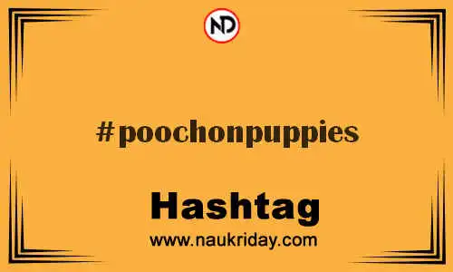 POOCHONPUPPIES Hashtag for Twitter