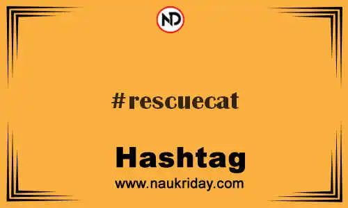 RESCUECAT Hashtag for Twitter