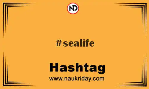 SEALIFE Hashtag for Twitter