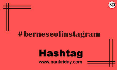 BERNESEOFINSTAGRAM Hashtag for Instagram