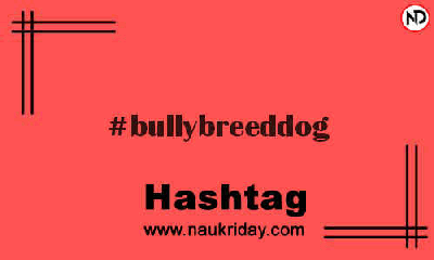 BULLYBREEDDOG Hashtag for Instagram