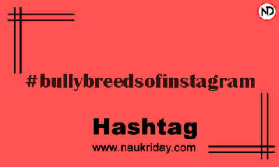 BULLYBREEDSOFINSTAGRAM Hashtag for Instagram