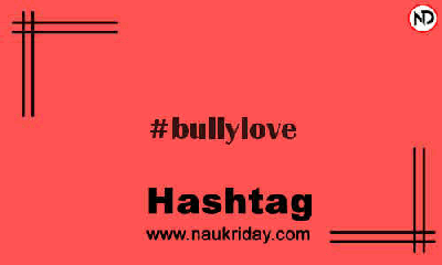 BULLYLOVE Hashtag for Instagram