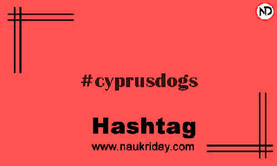 CYPRUSDOGS Hashtag for Instagram