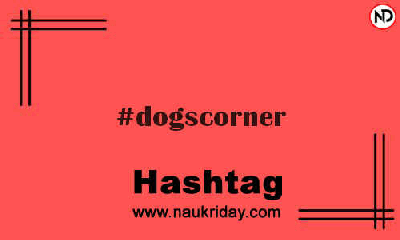 DOGSCORNER Hashtag for Instagram