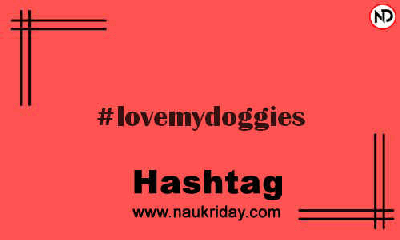 LOVEMYDOGGIES Hashtag for Instagram