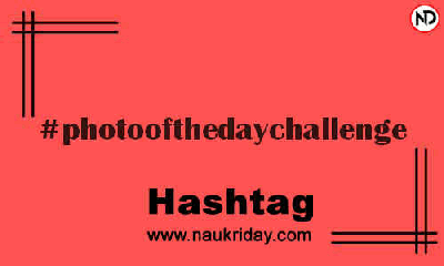 PHOTOOFTHEDAYCHALLENGE Hashtag for Instagram