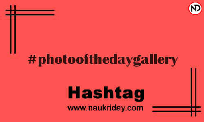 PHOTOOFTHEDAYGALLERY Hashtag for Instagram