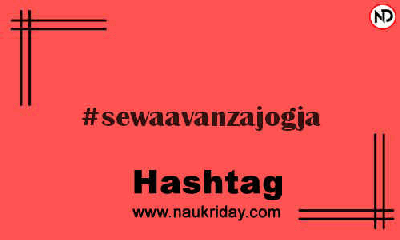 SEWAAVANZAJOGJA Hashtag for Instagram