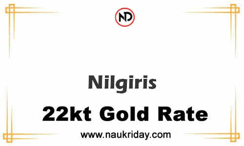 today 22 carat 24k Market gold price in Nilgiris
