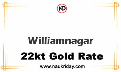 today 22 carat 24k Market gold price in Williamnagar