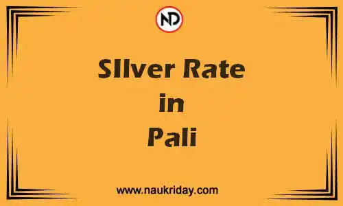 Latest Updated silver rate in Pali Live online