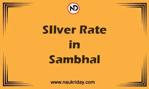 Latest Updated silver rate in Sambhal Live online