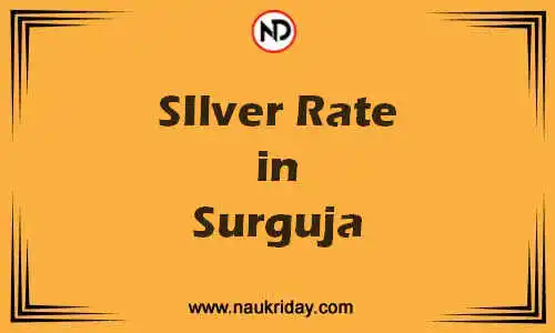 Latest Updated silver rate in Surguja Live online